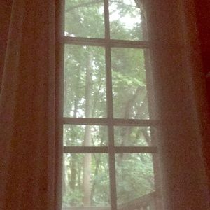 Meet your Posher, Ava